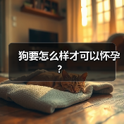 狗要怎么样才可以怀孕？（图1）
