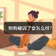 狗狗被训了会怎么样？（图3）