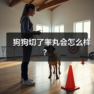 狗狗切了睾丸会怎么样？（图2）
