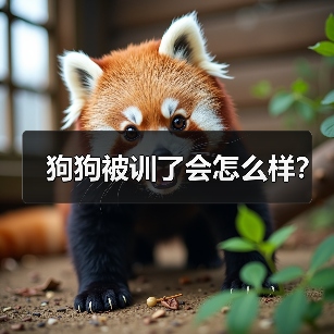 狗狗被训了会怎么样？（图1）