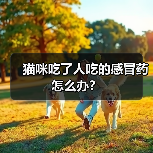 猫咪吃了人吃的感冒药怎么办？（图4）