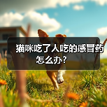 猫咪吃了人吃的感冒药怎么办？（图2）