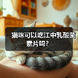 猫咪可以吃江中乳酸菌素片吗？（图2）