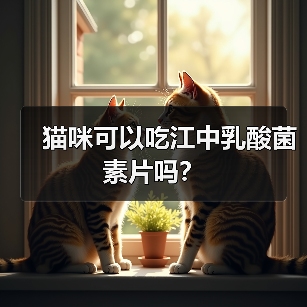猫咪可以吃江中乳酸菌素片吗？（图3）