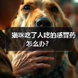 猫咪吃了人吃的感冒药怎么办？（图1）
