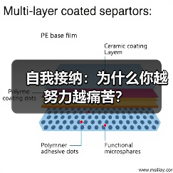 自我接纳:为什么你越努力越痛苦?(图1) 自我接纳:为什么你越努力越痛苦?(图1)