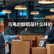 乌龟的眼睛是什么样的？（图3）
