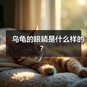 乌龟的眼睛是什么样的？（图1）