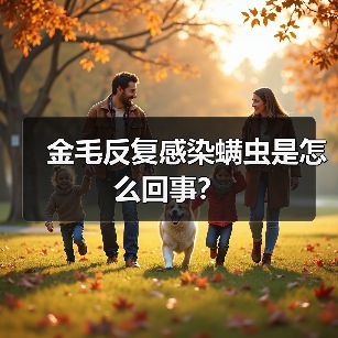 金毛反复感染螨虫是怎么回事？（图3）