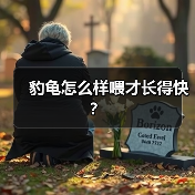 豹龟怎么样喂才长得快？（图1）