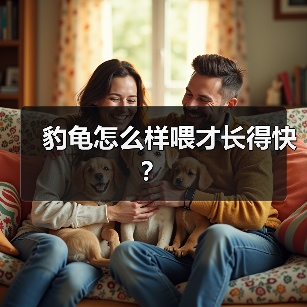 豹龟怎么样喂才长得快？（图2）
