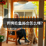 狗狗吃鱼肠会怎么样？（图1）