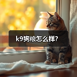 k9狗粮怎么样？（图2）