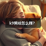 k9狗粮怎么样？（图1）