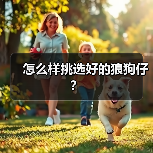 怎么样挑选好的狼狗仔？（图1）