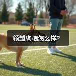 领越狗粮怎么样？（图1）