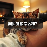 奥贝狗粮怎么样？（图1）