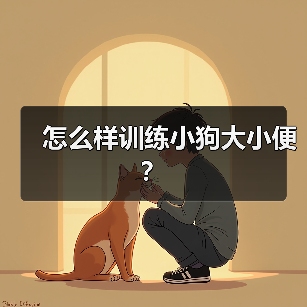 怎么样训练小狗大小便?(图1) 怎么样训练小狗大小便?(图1)