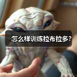 怎么样训练拉布拉多?(图1) 怎么样训练拉布拉多?(图1)