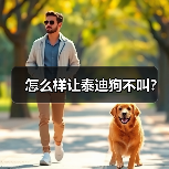 怎么样让泰迪狗不叫？（图4）