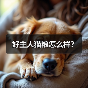 好主人猫粮怎么样？（图2）