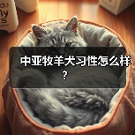 中亚牧羊犬习性怎么样？（图1）