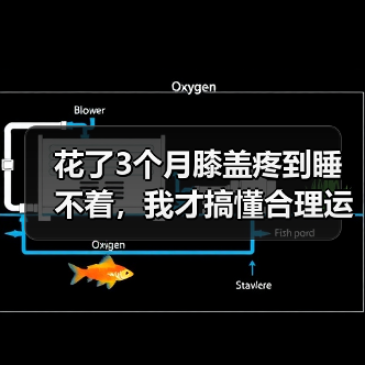 花了3个月膝盖疼到睡不着,我才搞懂合理运动健康生活这件事(图4) 花了3个月膝盖疼到睡不着,我才搞懂合理运动健康生活这件事(图4)