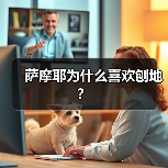 萨摩耶为什么喜欢刨地？（图1）