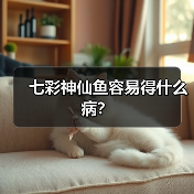 七彩神仙鱼容易得什么病？（图3）