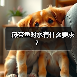 热带鱼对水有什么要求？（图4）