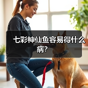 七彩神仙鱼容易得什么病？（图1）