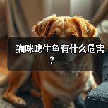 猫咪吃生鱼有什么危害？（图3）
