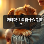 猫咪吃生鱼有什么危害？（图2）