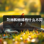 鬣蜥和蜥蜴有什么不同？（图3）