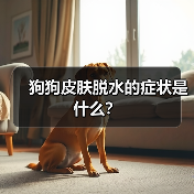 狗狗皮肤脱水的症状是什么？（图1）