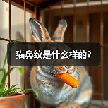 猫鼻纹是什么样的？（图2）
