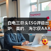 白电三巨头ESG评级出炉：美的、海尔获AAApi级，格力获AApi级（图3）