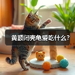 黄额闭壳龟爱吃什么？（图3）