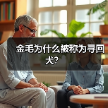金毛为什么被称为寻回犬？（图3）