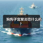 狗狗子宫发炎吃什么药？（图3）