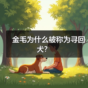 金毛为什么被称为寻回犬？（图4）