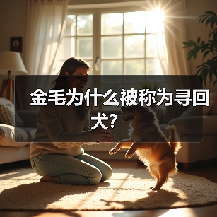 金毛为什么被称为寻回犬？（图1）