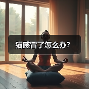 猫感冒了怎么办？（图2）
