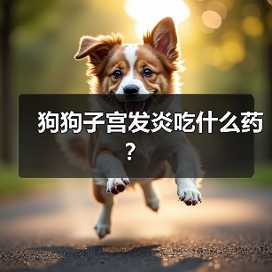 狗狗子宫发炎吃什么药？（图4）