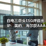 白电三巨头ESG评级出炉:美的、海尔获AAApi级,格力获AApi级(图2) 白电三巨头ESG评级出炉:美的、海尔获AAApi级,格力获AApi级(图2)