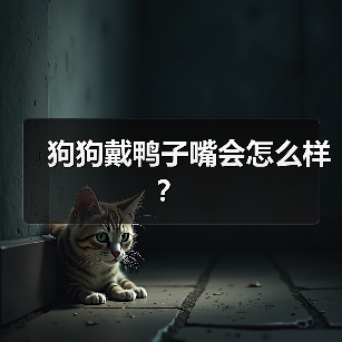 狗狗戴鸭子嘴会怎么样？（图3）