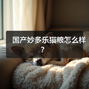 国产妙多乐猫粮怎么样？（图1）