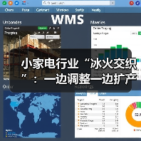 小家电行业“冰火交织”:一边调整一边扩产(图4) 小家电行业“冰火交织”:一边调整一边扩产(图4)