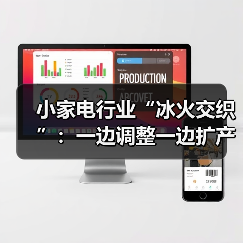 小家电行业“冰火交织”:一边调整一边扩产(图1) 小家电行业“冰火交织”:一边调整一边扩产(图1)