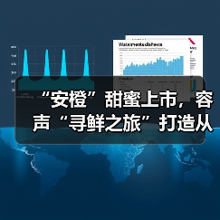 “安橙”甜蜜上市,容声“寻鲜之旅”打造从田间到舌尖的价值共享链(图4) “安橙”甜蜜上市,容声“寻鲜之旅”打造从田间到舌尖的价值共享链(图4)